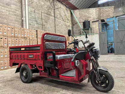 INLIFE Triciclo Eléctrico – Carga Robusta, Estabilidad Total y Eficiencia para el Trabajo Diario