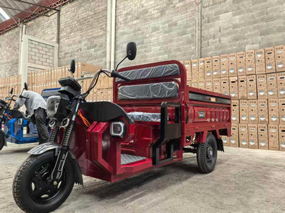 INLIFE Triciclo Eléctrico – Carga Robusta, Estabilidad Total y Eficiencia para el Trabajo Diario